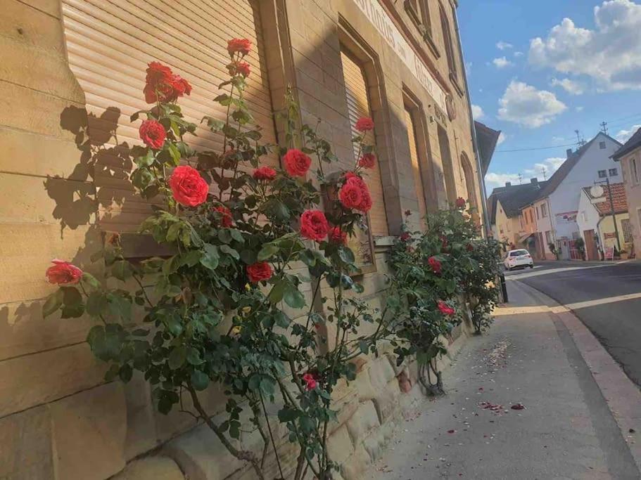 Апартаменты Wohlfuehloase Auf 133-160Qm In Der Idylle An Der Nahe Duchroth Экстерьер фото